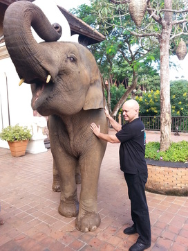Paul giving elephant Reiki